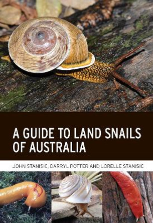 A Guide to Land Snails of Australia by John Stanisic 9781486313525