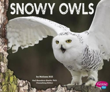 Snowy Owls by Melissa Hill 9781491460481