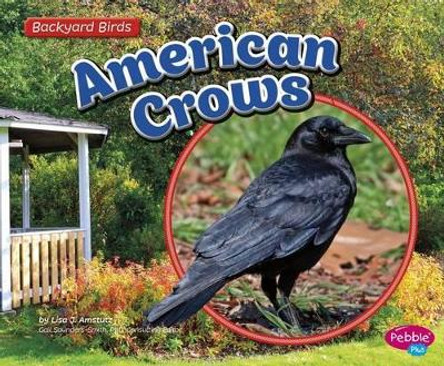 American Crows by Lisa J Amstutz 9781491485118