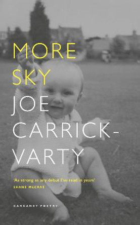 More Sky by Joe Carrick-Varty