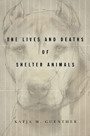 The Lives and Deaths of Shelter Animals: The Lives and Deaths of Shelter Animals by Katja M. Guenther 9781503612037