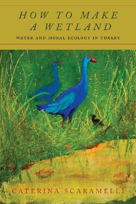 How to Make a Wetland: Water and Moral Ecology in Turkey by Caterina Scaramelli 9781503613850