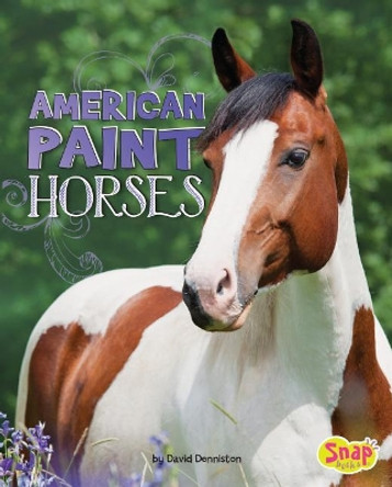 American Paint Horses (Horse Breeds) by David Denniston 9781543500332