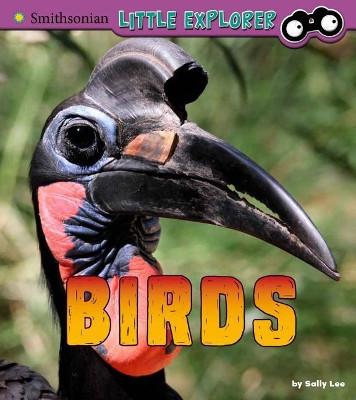 Birds: A 4D Book by Sally Lee 9781543526431