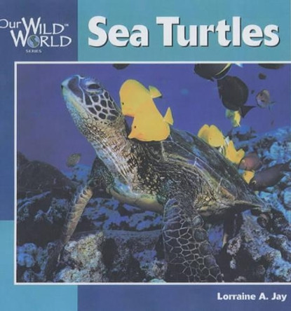 Sea Turtles by Lorraine A. Jay 9781559717465