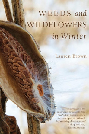 Weeds and Wildflowers in Winter by Lauren Brown 9781581571776