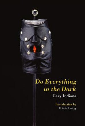 Do Everything in the Dark by Gary Indiana