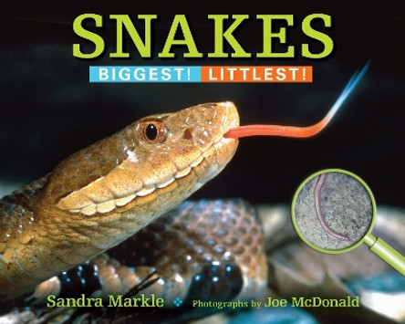 Snakes: Biggest! Littlest! by Sandra Markle 9781590788745