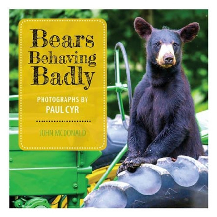 Bears Behaving Badly by John N. McDonald 9781608936038