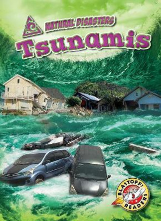 Tsunamis by Betsy Rathburn 9781618917492