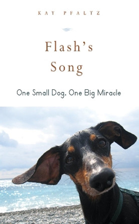 Flash's Song: How One Small Dog Turned into One Big Miracle by Kay Pfaltz 9781626360204