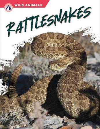 Wild Animals: Rattlesnakes by Libby Wilson 9781637384435