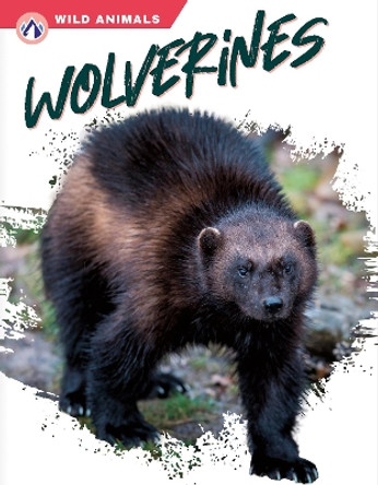 Wild Animals: Wolverines by Megan Gendell 9781637384466