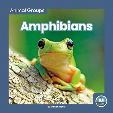 Animal Groups: Amphibians by Dalton Rains 9781646198061