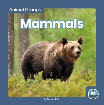Animal Groups: Mammals by Dalton Rains 9781646198108