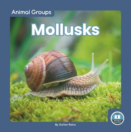 Animal Groups: Mollusks by Dalton Rains 9781646198115