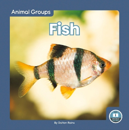 Animal Groups: Fish by Dalton Rains 9781646198375