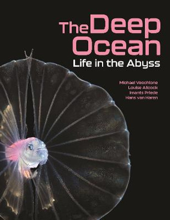 The Deep Ocean: Life in the Abyss by Michael Vecchione