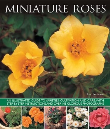 Miniature Roses by Lin Hawthorne 9781780193175
