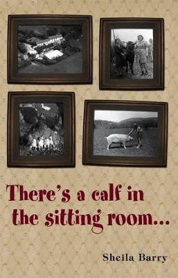There's a Calf in the Sitting Room... by Sheila Barry 9781780911212
