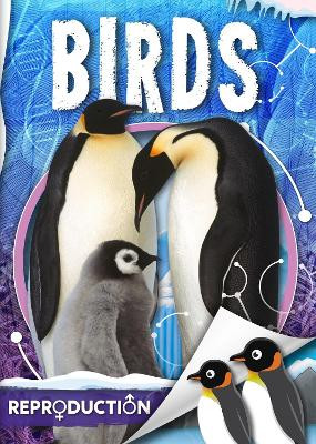 Birds by Emilie Dufresne 9781786376749