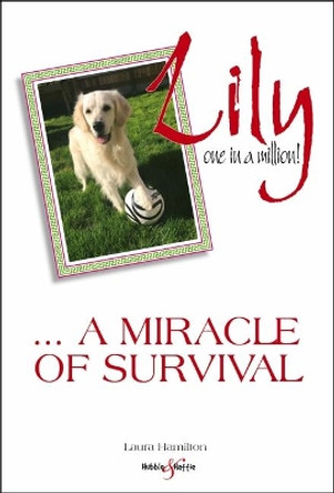 Lily: one in a million: A miracle of survival by Laura Hamilton 9781787111479