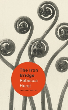 The Iron Bridge by Rebecca Hurst 9781800173941