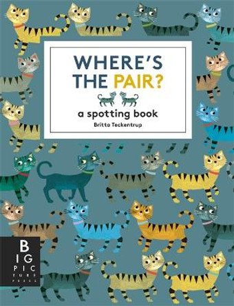 Where's the Pair?: A Spotting Book by Britta Teckentrup 9781800787872