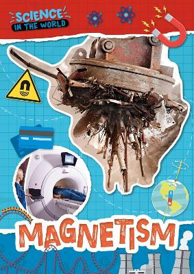 Magnetism by Joanna Brundle 9781805053989