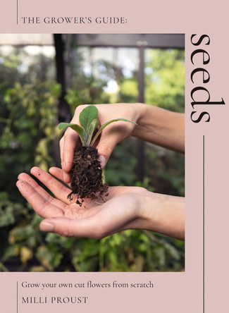 Seeds: Grow Your Own Cut Flowers from Scratch by Milli Proust 9781837831807