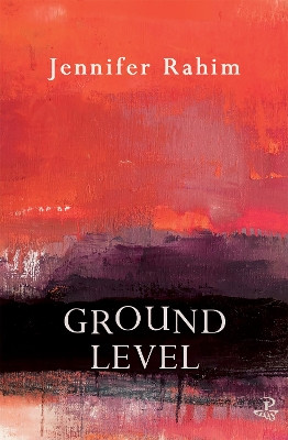 Ground Level by Jennifer Rahim 9781845232054