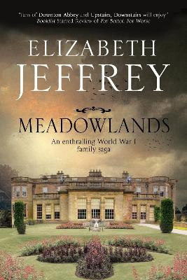 Meadowlands: A World War I Family Saga by Elizabeth Jeffrey 9781847515728