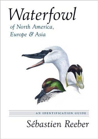 Waterfowl of North America, Europe, and Asia: An Identification Guide by Sebastien Reeber 9780691162669