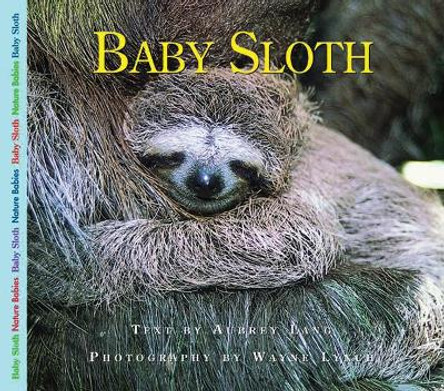 Baby Sloth by Aubrey Lang 9781550418279