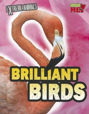 Brilliant Birds (Extreme Animals) by Isabel Thomas 9781410946843