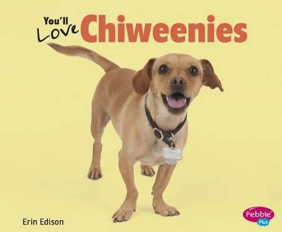 You'll Love Chiweenies by Gail Saunders-Smith 9781491405673