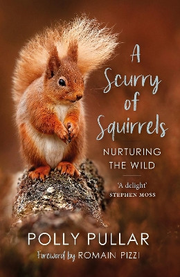 A Scurry of Squirrels: Nurturing The Wild Polly Pullar 9781780277752