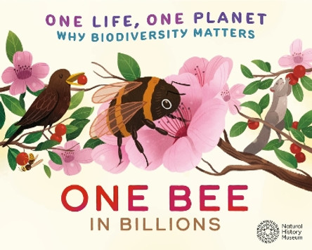 One Life, One Planet: One Bee in Billions: Why Biodiversity Matters by Sarah Ridley 9781526323101