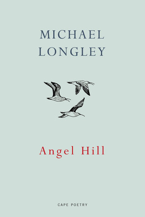 Angel Hill by Michael Longley 9781911214083