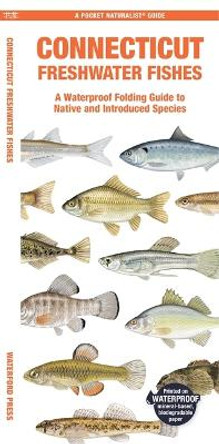 Connecticut Freshwater Fishes: A Waterproof Folding Guide to Native and Introduced Species by Matthew Morris 9781620056776