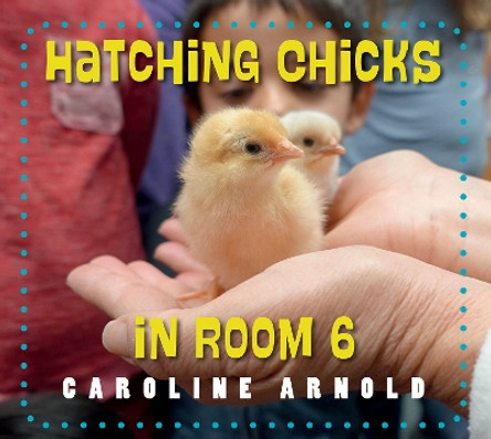 Hatching Chicks in Room 6 by Caroline Arnold 9781623542689