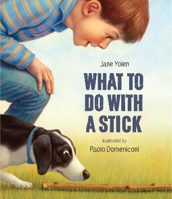 What to do with a Stick: A remarkable toy by Jane Yolen 9781682772850