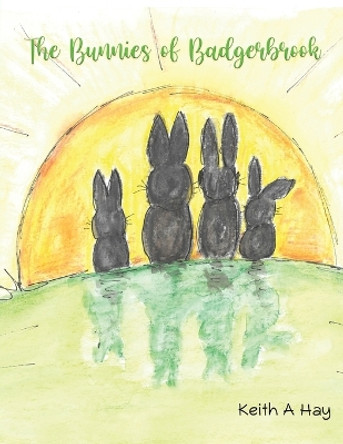 The Bunnies of Badgerbrook by Keith A Hay 9781528954716