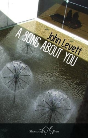 A Song About You by John Levett 9781910323861