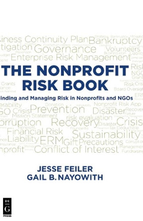 THE NONPROFIT RISK BOOK: Finding and Managing Risk in Nonprofits and NGOs by Jesse Feiler 9781501515163