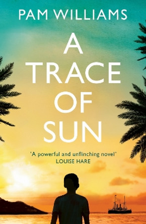 A Trace of Sun: a powerful and extraordinary novel exploring the long-term emotional impact of family separation by Pam Williams 9781915643353