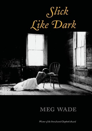 Slick Like Dark by Meg Wade 9781946482310