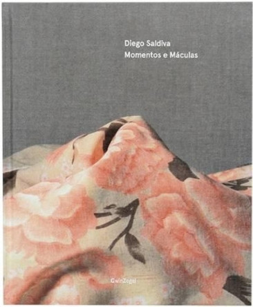 Diego Saldiva: Momentos E Maculas by Diego Saldiva 9782953792652