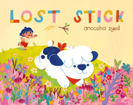 Lost Stick by Anoosha Syed 9780593405192