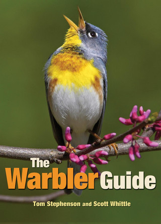 The Warbler Guide by Tom Stephenson 9780691154824